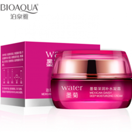 CREMA FACIAL HIDRATANTE CRISANTEMO 50GR